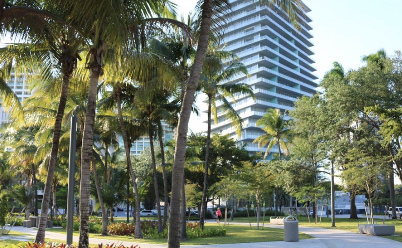 Can you live in Coconut Grove without a car? An Honest Answer